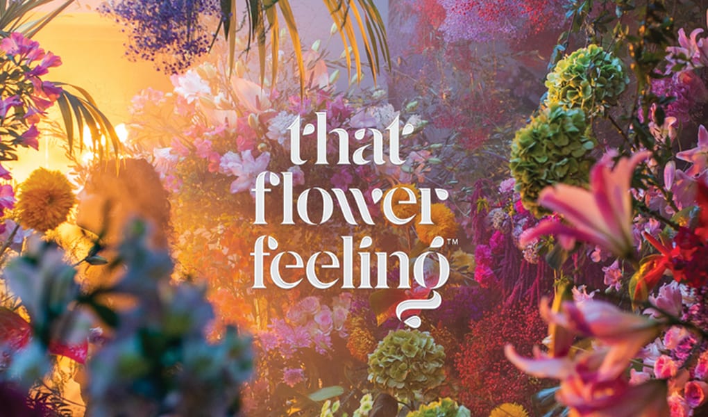 That Flower Feeling YouTube Header Image