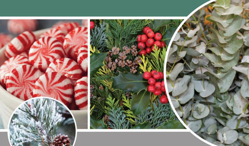 Napco Holiday Trend Report 2021