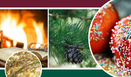 Napco Holiday Trend Report 2022