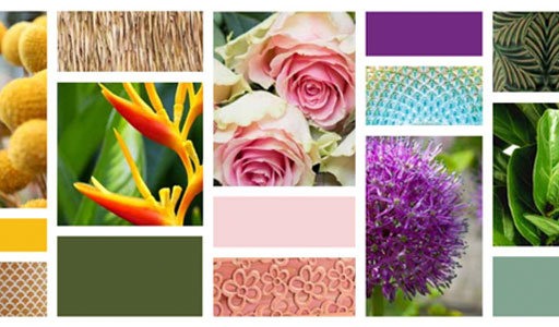 Napco Spring and Garden Trend Report 2022