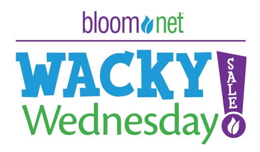 Wacky Wednesday Logo